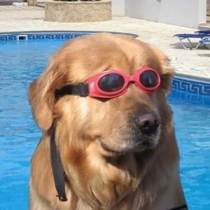 Meet your Posher, Laser